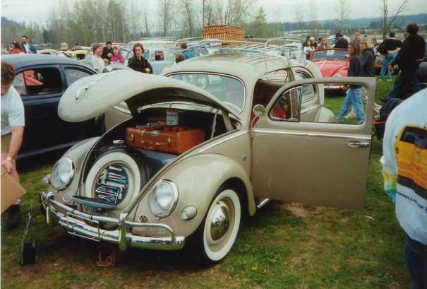 Nice Oval Window Bug